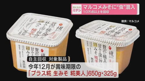 日本食品大厂再爆混入异物,厂家 异物是蟑螂